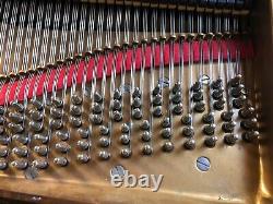 Steinway Semi Concert Piano Model B Brazilian Rosewood Rebuilt Watch Video