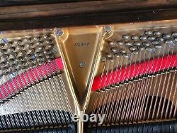Steinway Semi Concert Piano Model B Brazilian Rosewood Rebuilt Watch Video
