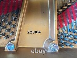 Steinway & Sons 1924 Model D Concert Grand Piano. Rebuilt