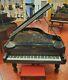 Steinway & Sons Ebony Grand Piano Model A2 Yr 1899 Ivory Keys Made In N. Y. Usa