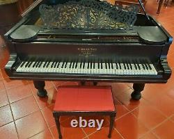 Steinway & Sons Ebony Grand Piano Model A2 Yr 1899 Ivory Keys Made In N. Y. USA