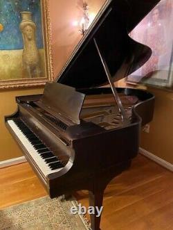 Steinway & Sons Grand Piano, Model M