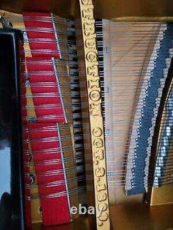 Steinway & Sons Grand Piano Model O Op. 162147