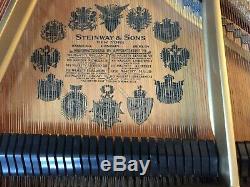 Steinway & Sons Model A3 Grand Piano Rebuilt & Refinished Ebony Finish 6'4