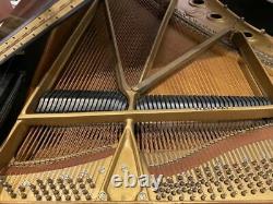 Steinway & Sons Model B Conservatory Grand Piano
