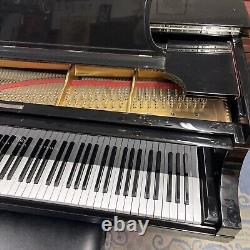 Steinway & Sons Model B Player Piano