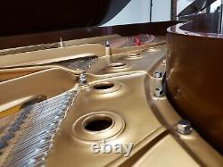 Steinway & Sons Model B in Beautiful Satin Walnut Showroom Condition