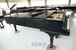 Steinway & Sons Model D Concert Grand 1910 NY