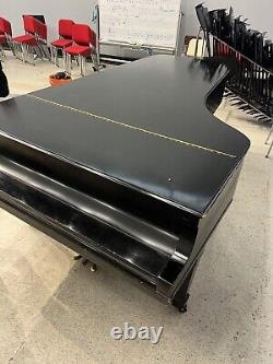 Steinway&Sons Model D Year 1981 Concert Grand piano