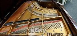 Steinway & Sons Model M 5'7 Chippendale Mahogany Grand Piano Mfg 1999