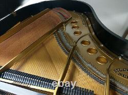 Steinway & Sons Model M Grand Piano Satin Ebony Price Reduced