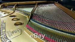 Steinway & Sons Model M Grand Piano Showroom Condition MUST SEE & HEAR