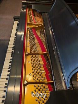 Steinway & Sons Model O REBUILT