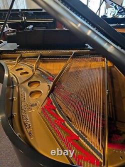 Steinway & Sons Model O REBUILT