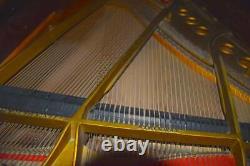 Steinway & Sons, Model XR, Player Grand Piano! 1927 Golden Year