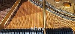 Steinway & Sons S 5'1 155cm 1953 Glossy Walnut Baby Grand Piano with Brass