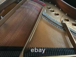 Steinway & Sons Used Louis XV 5'7 Model M Grand Piano