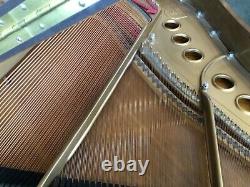 Steinway and Sons, Model M, Satin Walnut, 5 7 Grand Piano, 1976