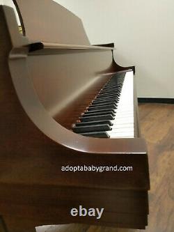Steinway grand piano model M 1981