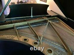 Steinway grand piano model b