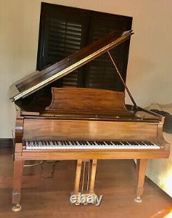 Steinway grand piano model b 1919