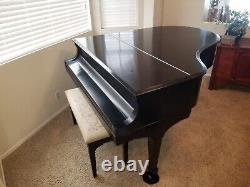 Steinway grand piano model m