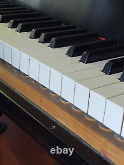 Steinwway Grand Piano Model A-3 III 6-4 1/2 Concert Sound/Action U4212 190647