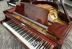 Story & Clark 5'0 Grand Piano Picarzo Pianos Polished Walnut Model VIDEO