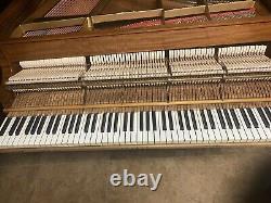 Stunning STEINWAY & SONS 5'11 1/2 model L piano