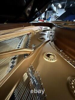 Stunning Steinway&Sons Model D 1925 Restored Amazing