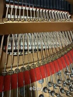 Stunning Steinway&Sons Model D 1925 Restored Amazing