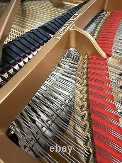 Stunning Steinway&Sons Model D 1925 Restored Amazing