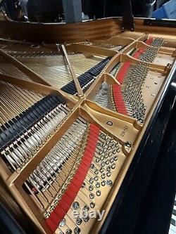 Stunning Steinway&Sons Model D 1925 Restored Amazing