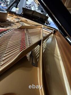 Stunning Steinway&Sons Model D 1925 Restored Amazing