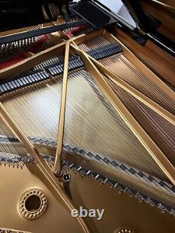 Stunning Steinway&Sons Model D 1925 Restored Amazing