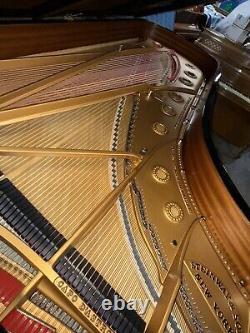 Stunning Steinway&Sons Model D 1925 Restored Amazing