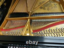 VIDEO Steinway & Sons Model B Grand Piano MUST SEE Beautiful Sound & Touch