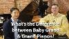 What S The Difference Between A Baby Grand And Grand Piano
