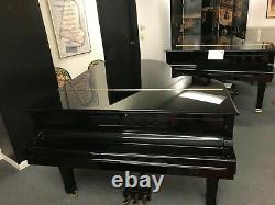 YAMAHA 6'1 MODEL C3 GRAND PIANO MINT CONDITION INSIDE AND OUTSIDE WithBENCH