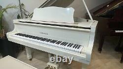 Yamaha Baby Grand Piano model G1 53 White (excellent condition)