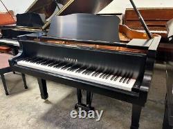 Yamaha C2 Grand Piano Pristine Free Shipping