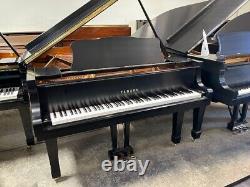 Yamaha C2 Grand Piano Pristine Free Shipping