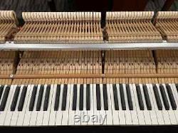 Yamaha C3 6'1 Grand Piano 2007 Picarzo Pianos VIDEOS Polished Ebony Model