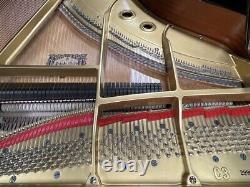 Yamaha C3 6'1 Grand Piano Picarzo Pianos VIDEOS Polished Ebony Model