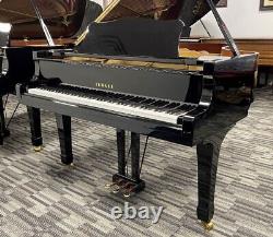 Yamaha C5 6'6 Grand Piano Picarzo Pianos VIDEOS Polished Ebony Model