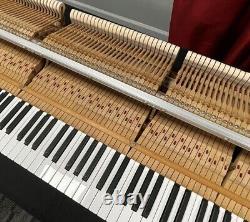 Yamaha C5 6'6 Grand Piano Picarzo Pianos VIDEOS Polished Ebony Model