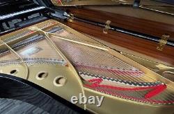 Yamaha C7 7'4 Grand Piano Picarzo Pianos VIDEOS Polished Ebony Model