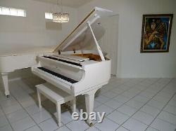 Young Chang Baby Grand Piano Model G-150 411 White Polish